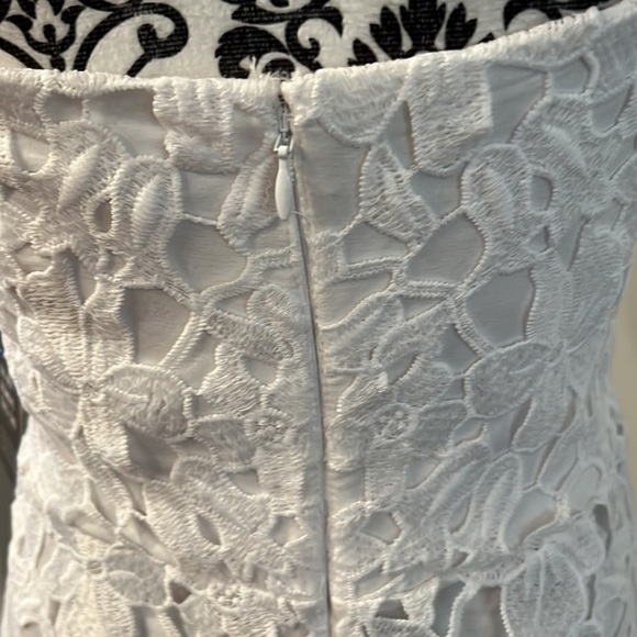 Express Floral Lace MIDI Dress - Picture 5 of 12